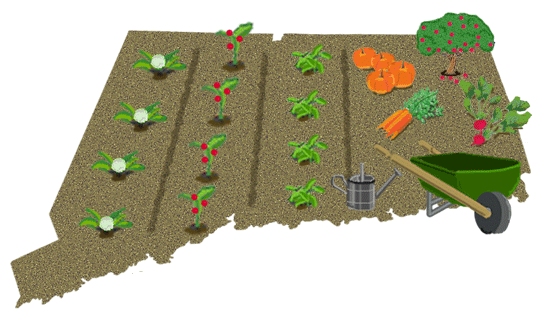 fruits and vegetables from your garden to a food pantry