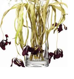 floral arrangements