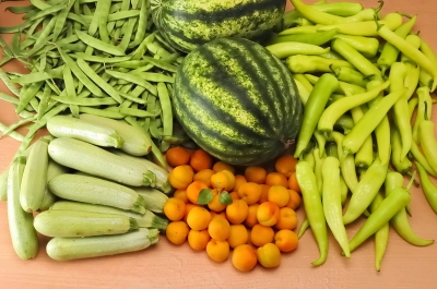 fruits and vegetables from your garden to a food pantry