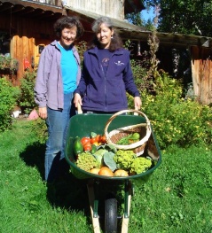 garden harvest