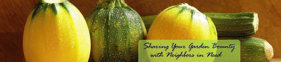 Garden vegetables appreciated by food pantries